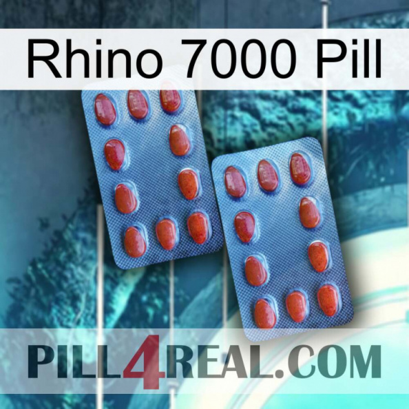 Rhino 7000 Pill 05.jpg